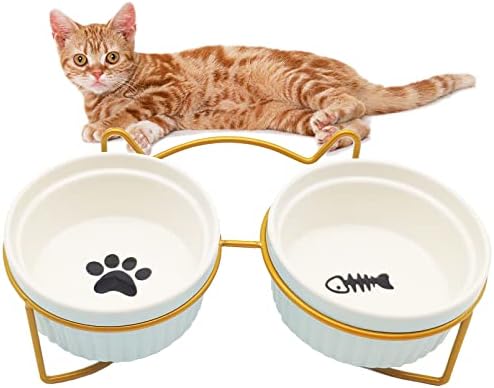 BNOSDM крена керамички сад со мачки покачени двојни чинии за мачиња со златен штанд навалена храна за миленичиња и фидер за вода, поставен