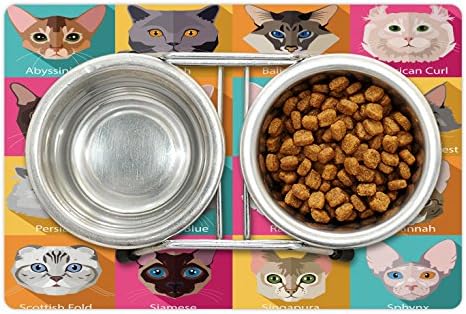 Зачудувачки lубител на мачки миленичиња душек за храна и вода, популарни раси абисинински американски бурмански сфинкс норвешка шума