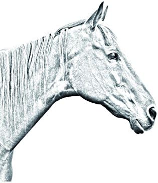 Арт Дог Рибар Пензиониран тркачки коњ, овална надгробна плоча од керамичка плочка со слика на коњ