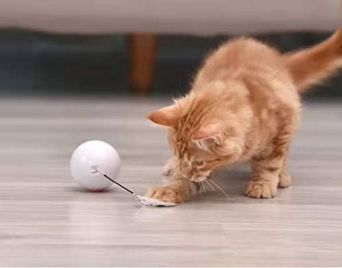 PHTW CAT Смешна мачка играчка играчка топка маче само-пече Анти-родинг артефакт Електрична интелигентна комбинација Автоматска смешна мачка