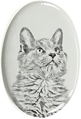Уметност Куче Оод. Небелунг Мачка, Овален Надгробен Споменик Од Керамичка Плочка со Слика на мачка