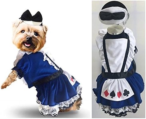 Квалитетен костум за фустан од кучиња - картичка за чудо од чипка сина чипка од чипка Алис