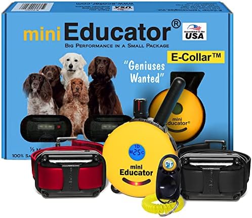 Мини едукатор ЕТ-302-1/2 милја тренер за дополнување на кучиња, Еколар со далечински управувач за мали, средни и големи кучиња од технологии