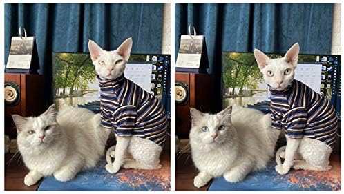 Ochstin без влакна, пролет и есенска литература и уметност ретро пар миленичиња шарени џемпер, што се користи за Сфинкс, Корнин Рекс, Девон