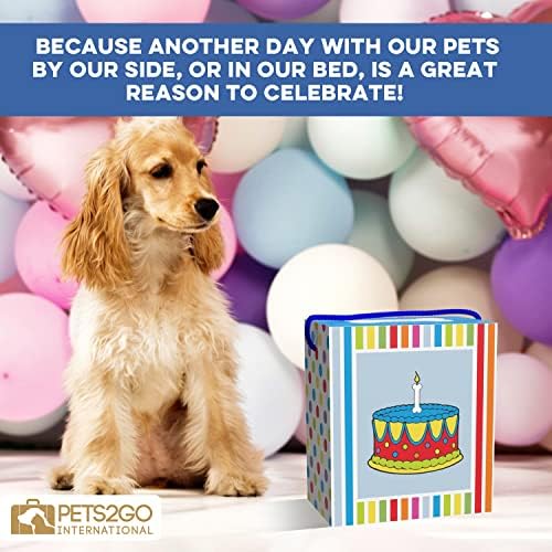 PETS2GO Puppymini Barkday Роденденски Подарок За Кучиња! Кутија за подароци за сувенири вклучува извиднички Н Зои третирања за кучиња, 1 скокачки