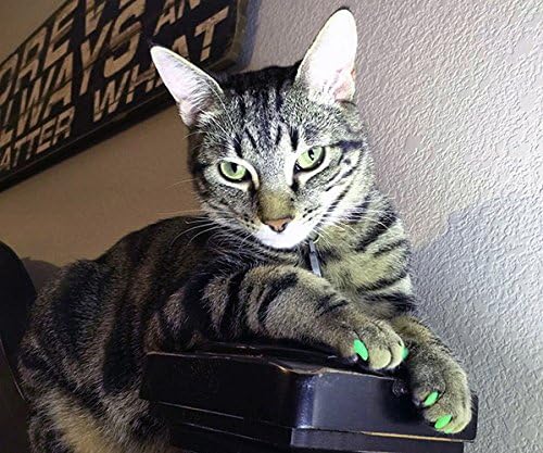 Пурди Шепи Една Година Снабдување Меки Капачиња За Нокти За Мачки Зелен Сјај Маче-Дополнителни Лепила