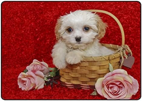 Tsingza Soft килим со големи површини, малку бели кученце рози удобен затворен тепих, бебе игра душек за дневна соба спална соба расадник