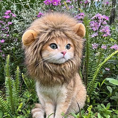 Мачка капа, претворете ја мачката во храбар лав, многу симпатична, лав грива за мачки