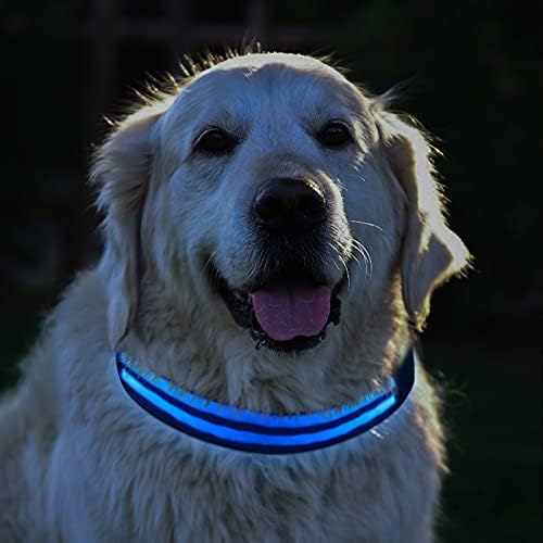 Gudpup Осветли Двојни LED Влакна Куче Јаки, LED Куче Јака Сјај Во Мракот За Ноќно Одење, Јака За Безбедност На Миленичиња Го Прави Вашето домашно