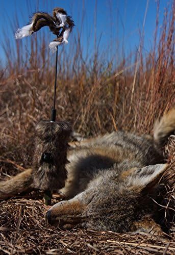 Mojo Outdoors Critter Predator Hunting Decoy - Одлично за лов на којот и бобкет и како декорација на Варминт, декора на опашката,