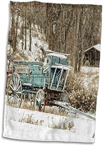 3drose Данита Делимонт - Западна - САД, Вајоминг, школка, сина вагон во снег - крпи