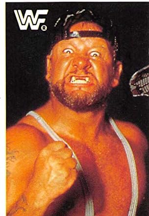1991 Diamond WWF Superstar Superstar Wrestling 95 Bushwackers Официјална светска федерација за борење 1,5 инчи од налепница за албум од 2,5 инчи