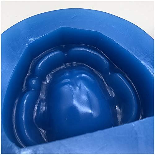 KH66ZKY Стоматолошка шуплина без заби, реконструирање на заби, малтер -малтер модел сина мека силиконска мувла за настава и проучување