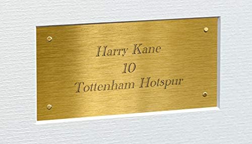 Китбаги и шкафчиња А4 потпишан Хари Кејн Тотенхем Хотспур Спарс автограмирана фотографија со слика на слика за слика 12x8 2