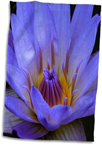 3drose Sven Herkenrath Flower - Blue Macro Lotus цвет - крпи