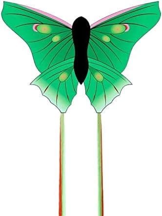 Змеј змејови Зелена пеперутка Змеј Голем лесен за летање Змеј за возрасни спортови змејови со долги опашки змејови змејот