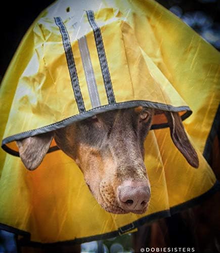 Мода милениче куче мантил за X-large Dog | Дока од домашна јакна со аспиратор | Дожд од дожд Пончо | полиестер | Доказ за вода |
