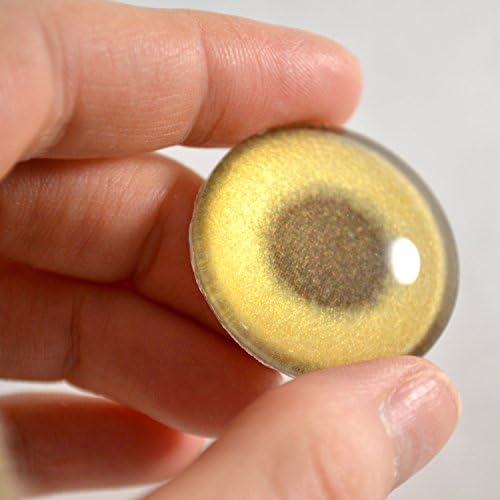 25мм единечен златен тон метален стакло око за накит што ги прави приврзоците жица за завиткување на таксидермија кукла уметност