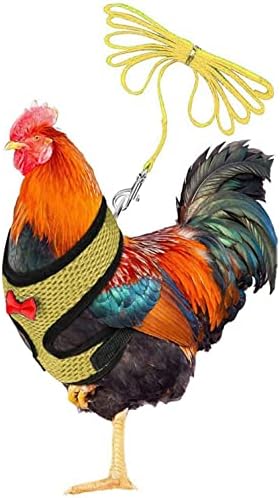 1 парчиња прилагодлива пилешка прицврстувачка со поводник и појас за појавување - надградба и подобрување за тренинг за пилешко месо за дишење