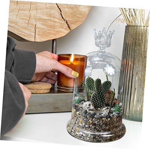 Стакло за стакло за куќишта за накит за накит за украсување стакло терариум со капаче цветна купола со основен сушен цвет дисплеј