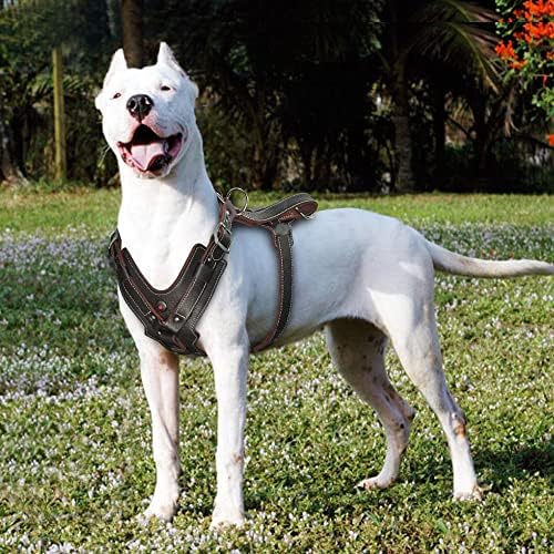 ZLXDP Големи кучиња кожни кожени издржливи прилагодливи кучиња елеци за кучиња Брза контрола со материјали за домашни миленици