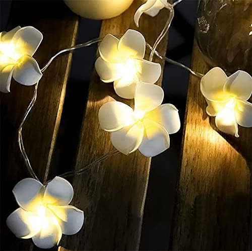 LED вештачки франгипани жици светла 20 лежеа низа светлина Хавајска пена цвет самовила ryвездени светла plumeria цвет USB напојувано декорација светло за Божиќна забава до