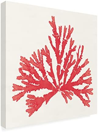 Трговска марка ликовна уметност „Пацифичко море мовс IV црвена“ уметност од платно од портфолио на диво јаболко 18х18