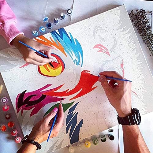 Боја по комплети со броеви со четки и акрилен пигмент DIY платно сликарство за деца возрасни почетници бои по броеви DIY масло