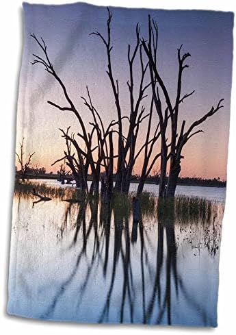 3drose Австралија, долина на реката Мареј, езерото Бони, скаменети дрвја, зајдисонце - крпи
