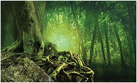 Држач за четкичка за заби од шума Амбесон, мистериозен шума пејзаж стари дрвја, декоративен разноврсен countertop за бања, 4,5 x 2,7, вар