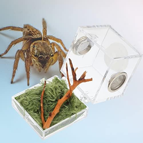Алипис стаклени контејнери стакло контејнери пајаци терариуми акрилен рептил терариум со ламба, скокање на пајакот за прицврстување на куќиште