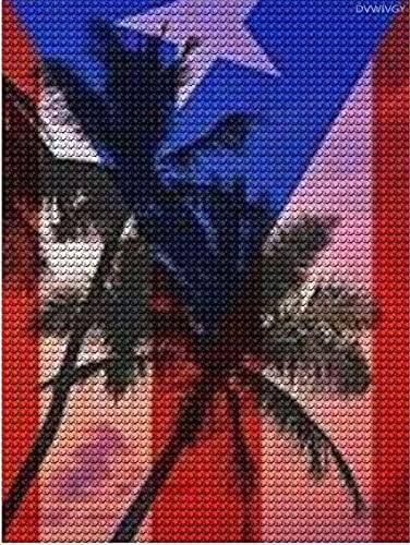 ДВВИВГИ ДИМАНТ Сликарство комплети Тропски океан вибрации Порто Рико знаме Дијамантска уметност за возрасни деца Дијамантски комплети за сликање
