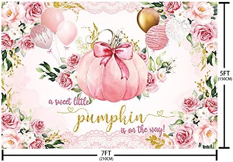 Aibiin 7x5ft розова мала тиква бебе туш за бебиња за девојче малку слатка тиква е на пат е украси за девојчиња за забави цветни балони чипка