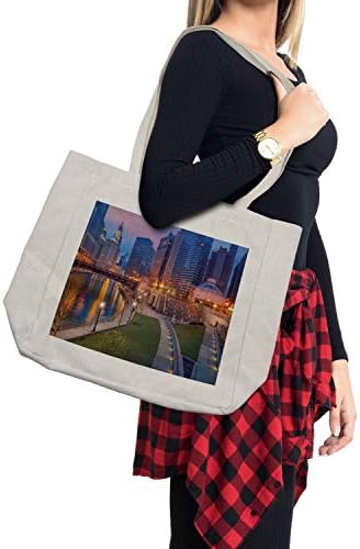 Торба за шопинг на небото во Чикаго Скај, градски пејзаж, урбана сцена во вода, минлива сцена на „Самрак синиот час“, еколошка