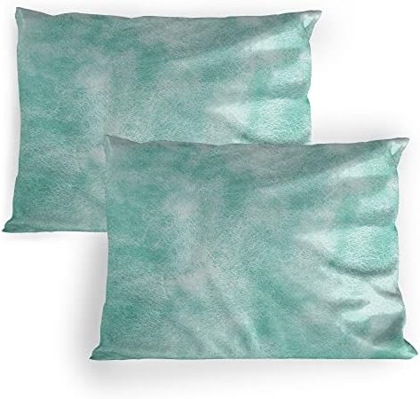 Зачудувачки срам за перница од нане од 2, омбре акварел позадина со одлични печати во боја, бохо хипи печатење, квалитетна ставка за