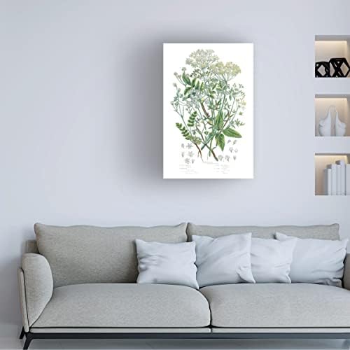 Трговска марка ликовна уметност 'цветни растенија i' Canvas Art by Wild Apple Portfolio 22x32