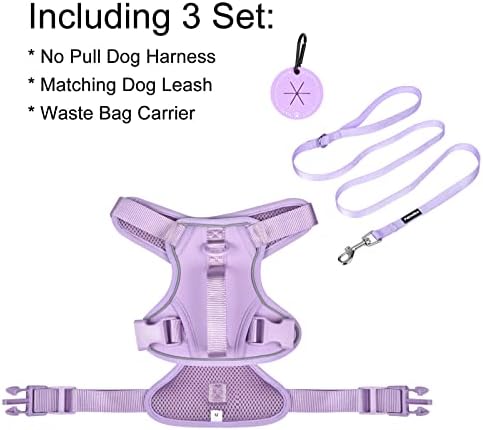 Petmolico Dog Harness for XS Dogs No повлечете, симпатична кучиња со двојки со два клипови и мека рачка, рефлексивна лесна прошетка
