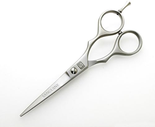 Фризерски ножици, ножици за коса, за удари и тресење на раб, со случај на презентација