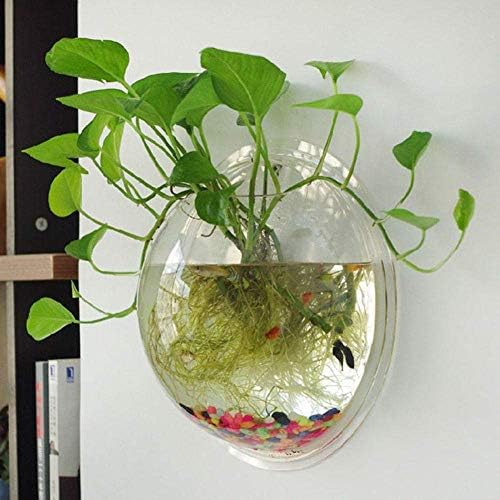 Стилска едноставност Терариум топката Глобус форма чиста висечка стаклена вазна садови садови садови wallидни риби резервоарот Аквариум