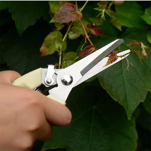 Градинарски Алатки: мултифункционални ножици за градинарски растенија, Остра Прецизност-Сечило За заземјување, Ножици за Градинарски Ножици