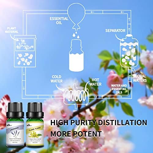 Сет на есенцијални масла од Airoomoil од 12 x 10ml, природни цветни есенцијални масла за дифузери за дома, миризливо правење сапун, правење