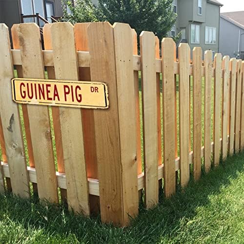 Гвинеја свиња д -р животински уличен знак персонализиран вашиот текст потресен стилски калај знаци за заморчиња за свињи за фарма куќа