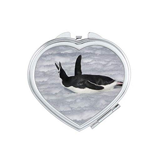 Вода црна Антарктик пингвин слика на огледало на огледало за патување Преносен рачен џеб шминка
