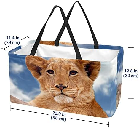 Кошница за складирање на лавови од животински лав - голем правоаголник за облека, играчки, чевли и пикник