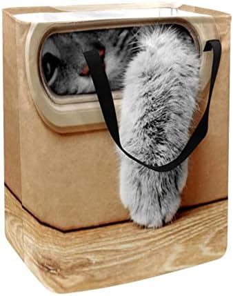 Симпатична Мачка Се Крие Во Картонска Кутија Печатење Склопувачки Пречки за Перење Алишта, 60 ЛИТРИ Водоотпорни Корпи За Перење Корпа