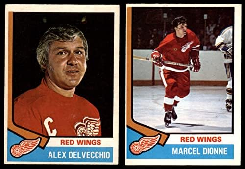 1974-75 O-Pee-Chee Detroit Red Wings во близина на екипата сет Детроит црвени крилја екс црвени крилја