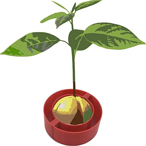 Авокадо Плови За Одгледување Авокадо Растенија Стартер Жардиниер - 1 Парче 2.5 С