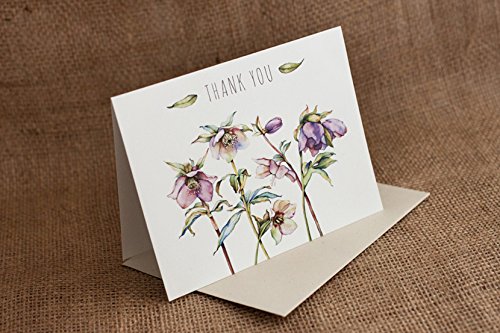 Комплет Картички За Благодарност-Цветови На Цвеќиња Во Акварел - Од Палмер Стрит Прес