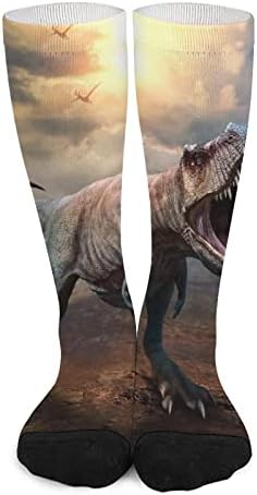Тираносаурус Рекс Боја Што Одговара На Високи Чорапи Модни Спортови Топли Чорапи За Мажи Жени
