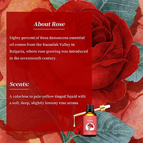 Пакет за есенцијално масло од роза со есенцијално масло од есенцијално масло од белгамот, чисто и природно масло од бергамот за кожа,